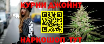 амф Кингисепп