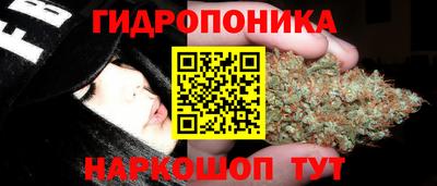 ECSTASY Кинель