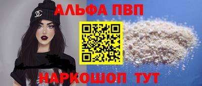 амф Кингисепп